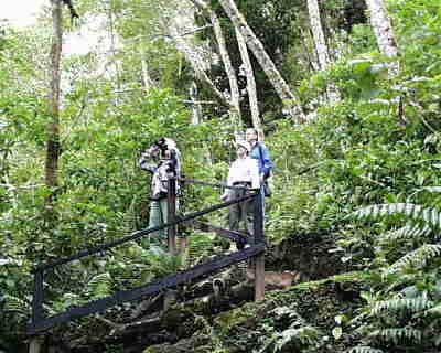 Volcan Baru National Park Sendero Los Quetzales